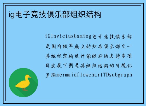 ig电子竞技俱乐部组织结构